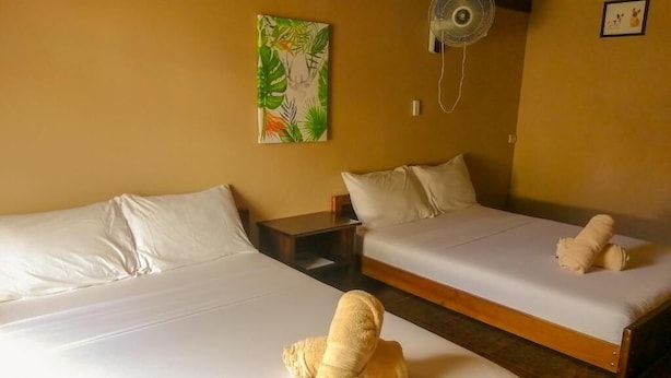 WiFi (free) - Nice Place Hostel (La Fortuna)