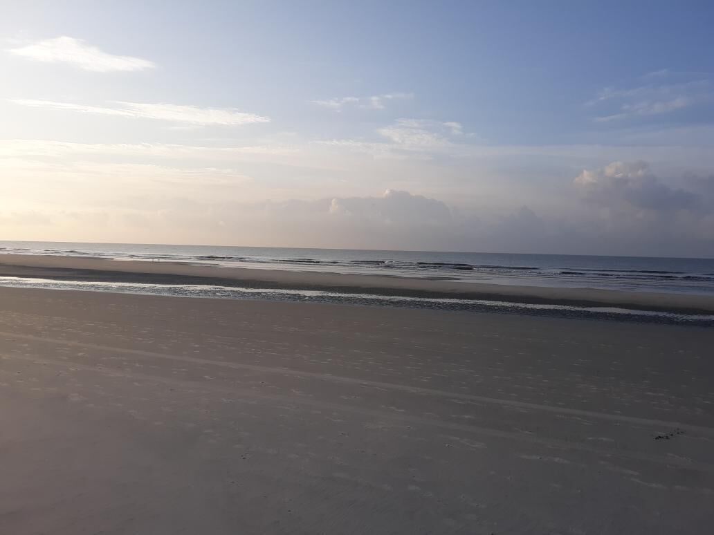 Ein Strand mit blauem Himmel und ruhigem Meer.