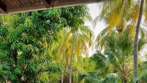 Mesa redonda con dos sillas de mimbre, una botella y dos vasos en un patio con vistas a una piscina y vegetación tropical.