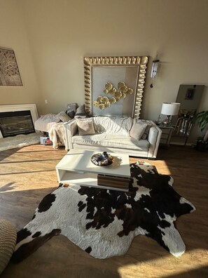 Smart TV, fireplace, books