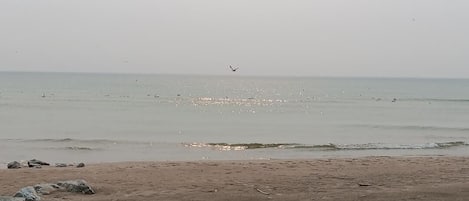 海灘