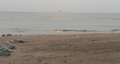 Beach House on the shores of Lake Michigan Near downtown Sheboygan