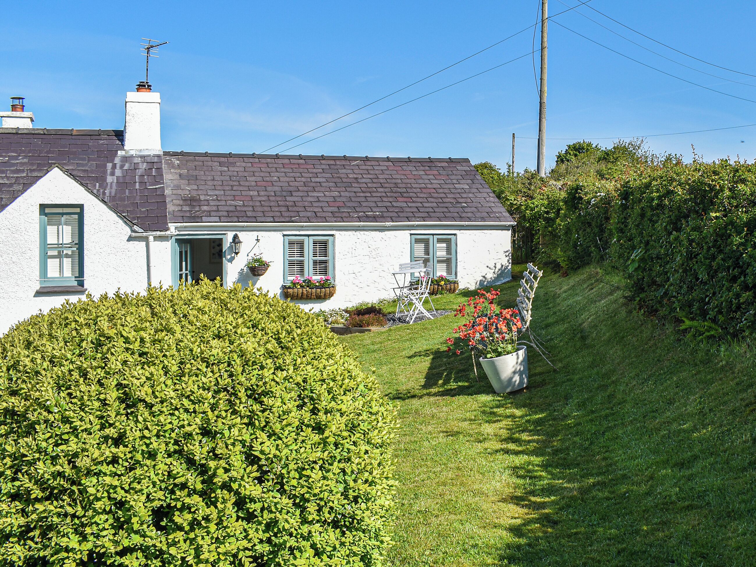 A white house with a grey roof, a chimney, and a small garden with a hedge and a flower pot.