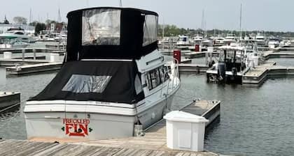 Reef Point Marina - Vessel: "Freckled Fin" - East Dock 1, Slip 19