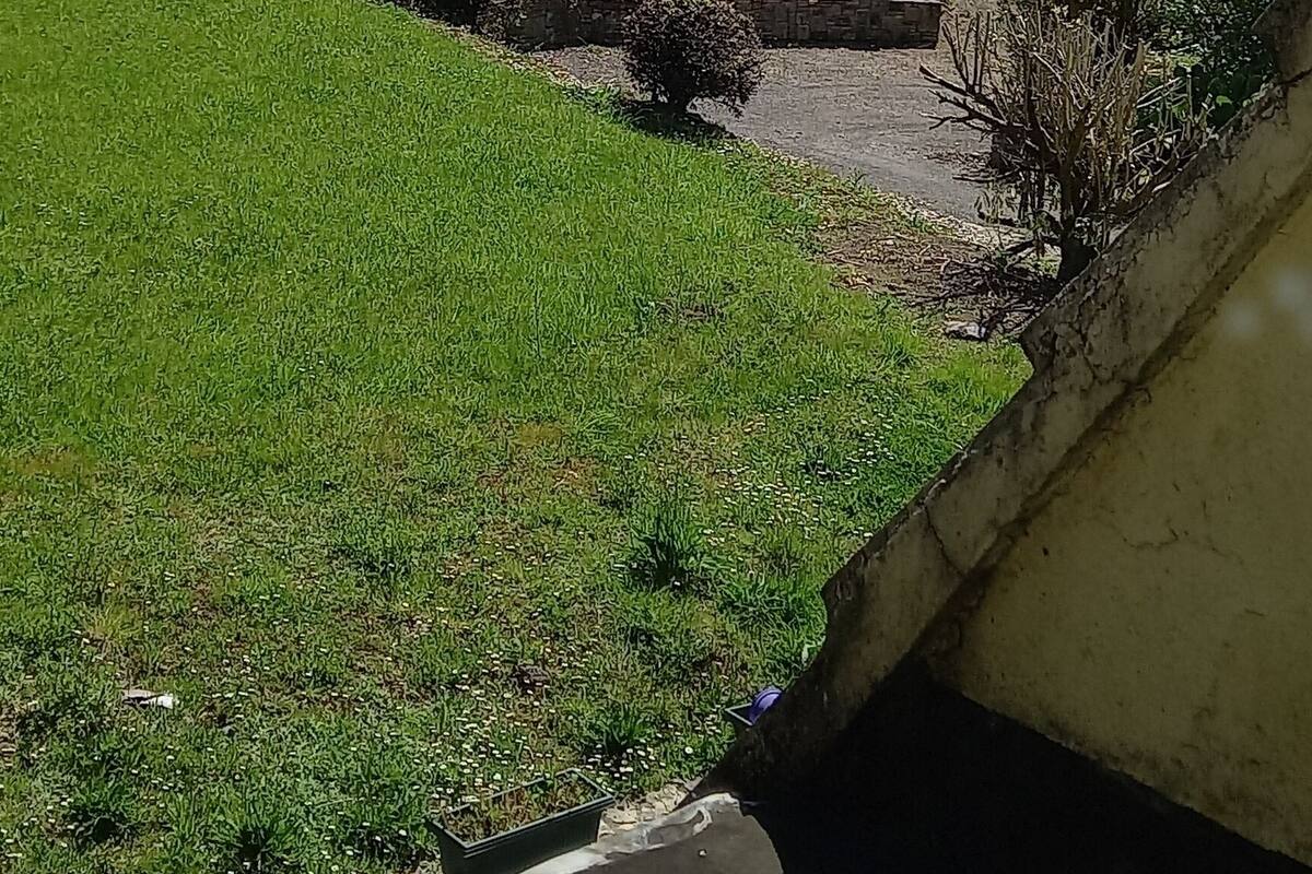 A grassy area with a pathway leading to a body of water, surrounded by greenery and a clear sky.