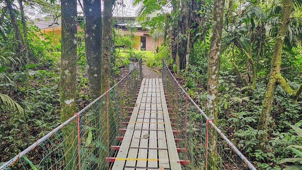 A wooden suspension bridge surrounded by dense greenery. - Confort Arenal (La Fortuna)