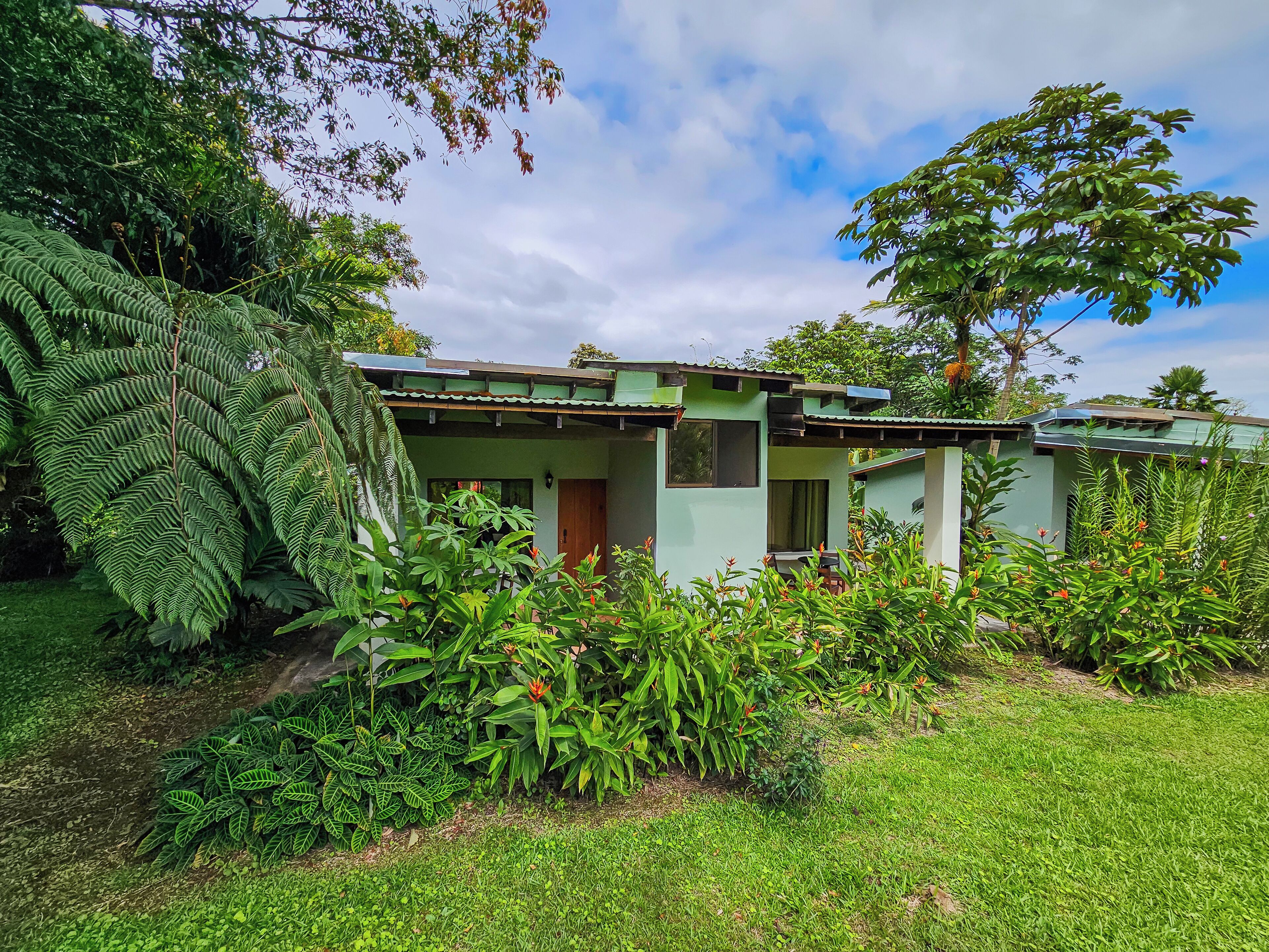 高級客房 | 露台/庭院