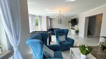TV, fireplace, DVD player, books