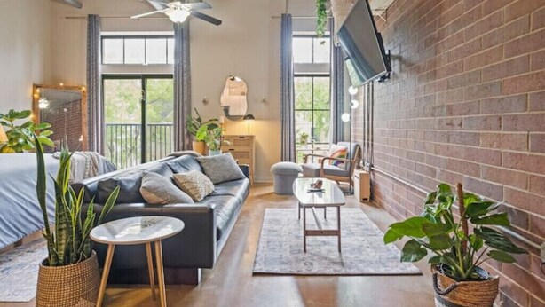 A modern living room with a sofa, coffee table, and potted plants.