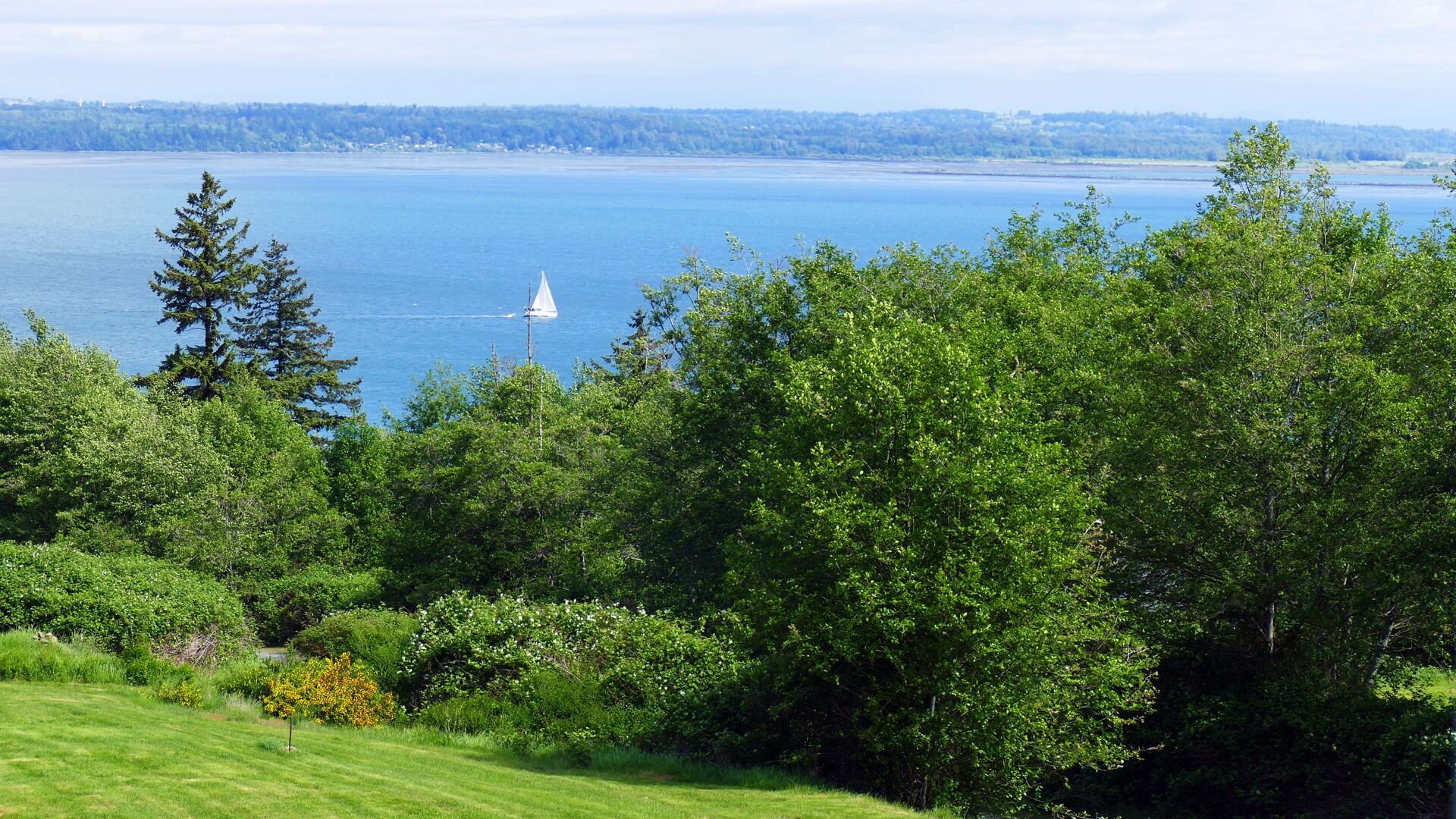 Quiet, Cozy, Water View, Loft Apartment Style Getaway, Located on 3 Acres