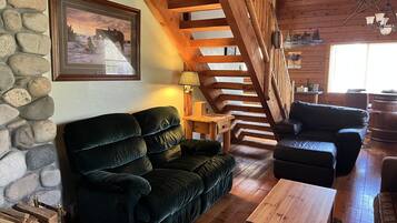 TV, DVD player, video library