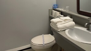 A bathroom with a toilet, sink, and mirror. - Nechako Valley Inn  (Vanderhoof)
