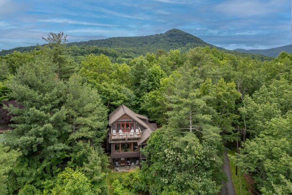 A two-story cabin surrounded by dense forest, with a mountain in the background.