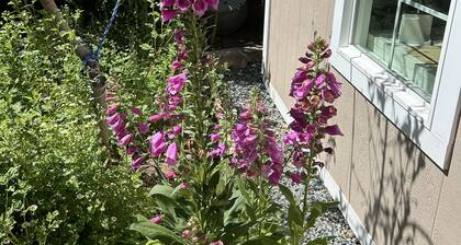 Garden Studio 5 minutes to downtown