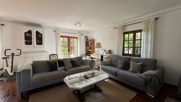 Télévision, cheminée