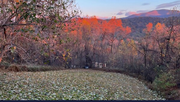 A natural landscape with a river in the foreground and trees with autumn foliage in the background. - RELAX - HOT TUB & GORGEOUS MOUNTAIN VIEWS (Amherst)