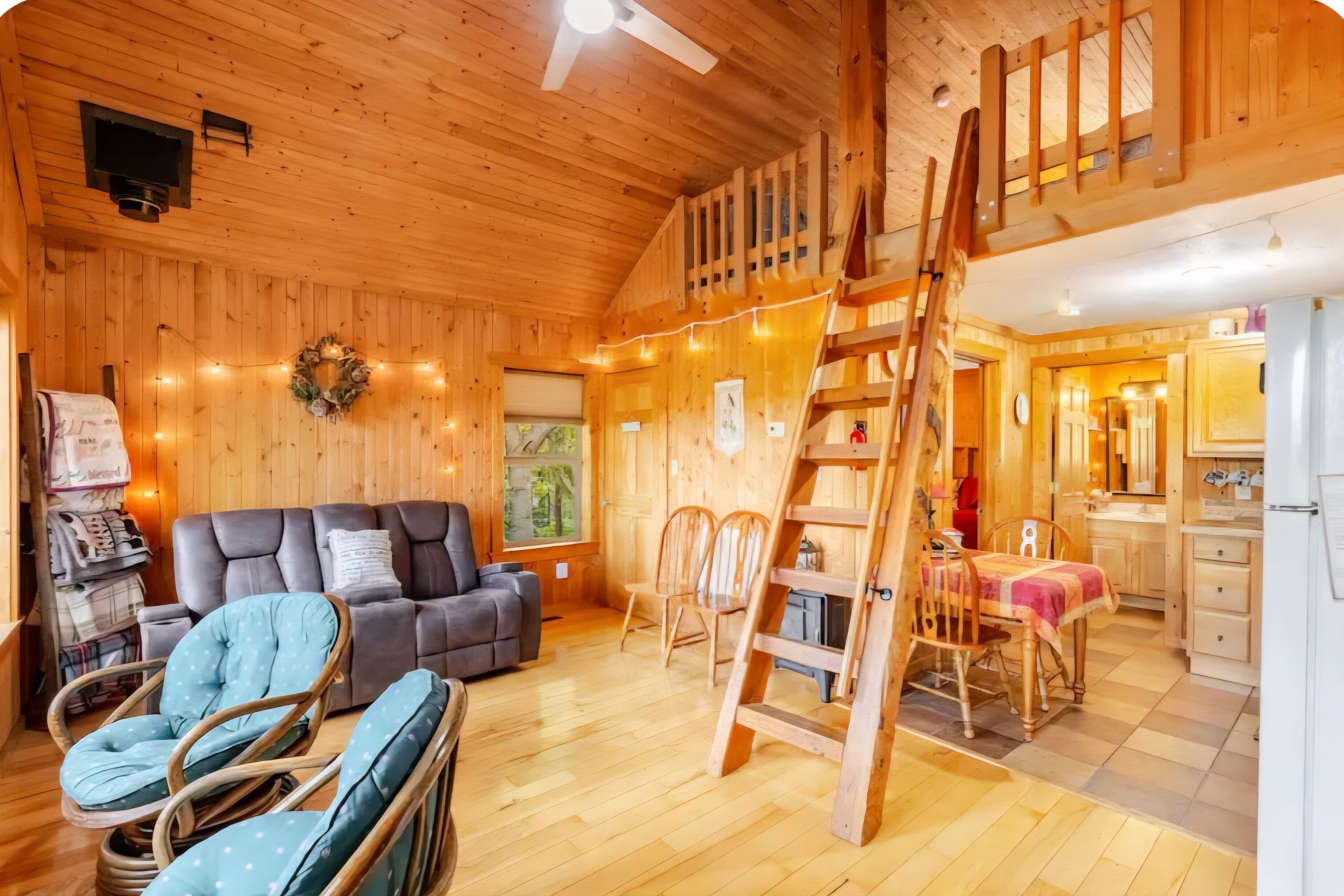 TV connectée, cheminée, lecteur de DVD