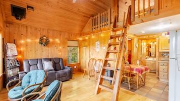 TV connectée, cheminée, lecteur de DVD