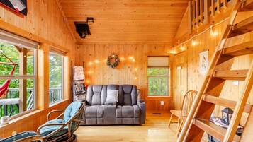 TV connectée, cheminée, lecteur de DVD