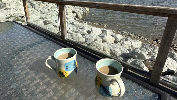 Two mugs on a metal deck with a view of a rocky shoreline and calm water. - Waterfront home w/beach, pool, and tennis. 5 min to Blue Mountain.  (Collingwood)