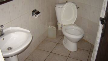 Shower, towels, soap, toilet paper