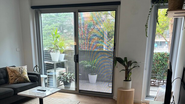 A modern living room with a sofa, coffee table, and potted plants.
