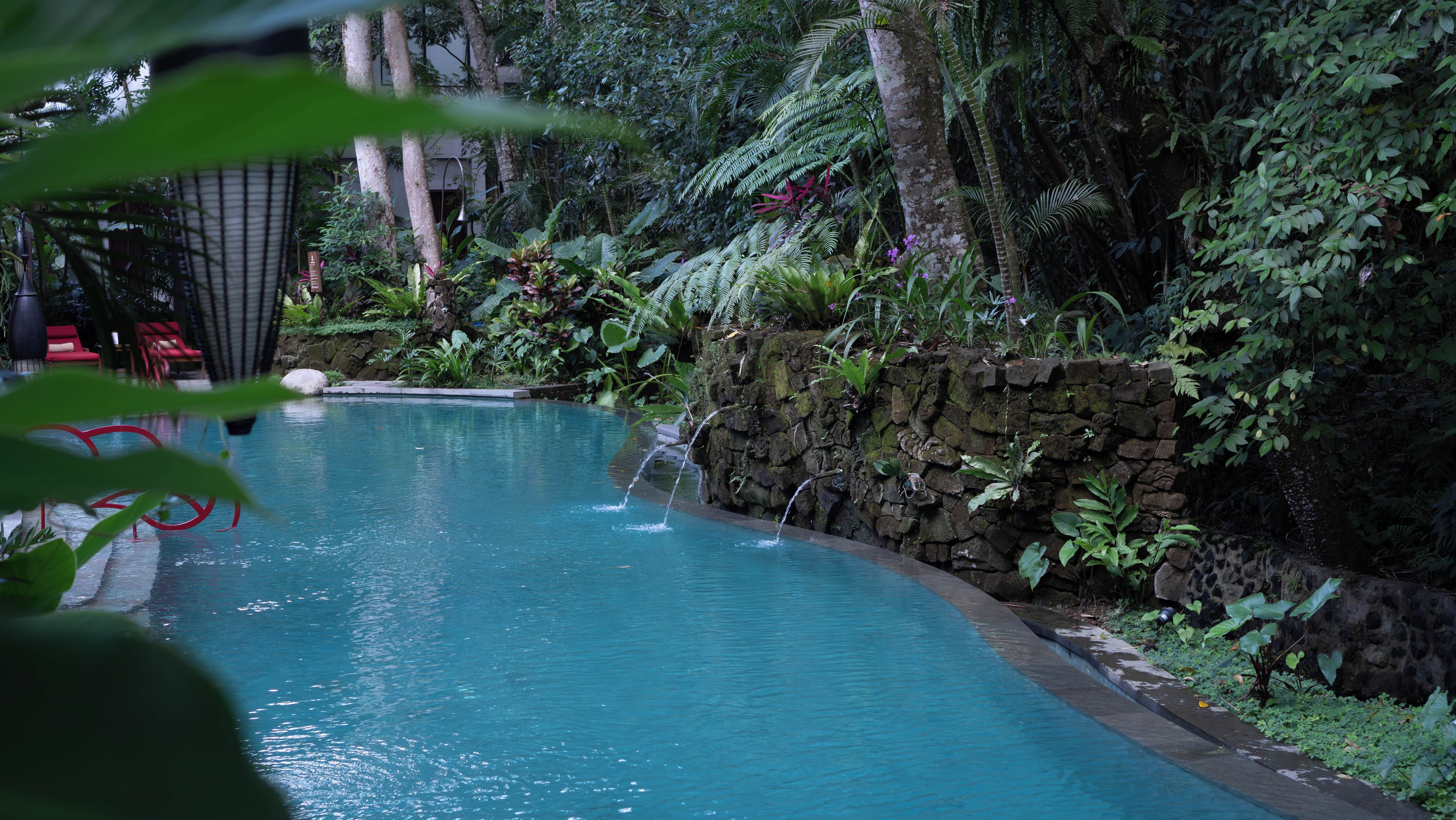 A pool with a waterfall feature surrounded by lush greenery and a stone wall.
