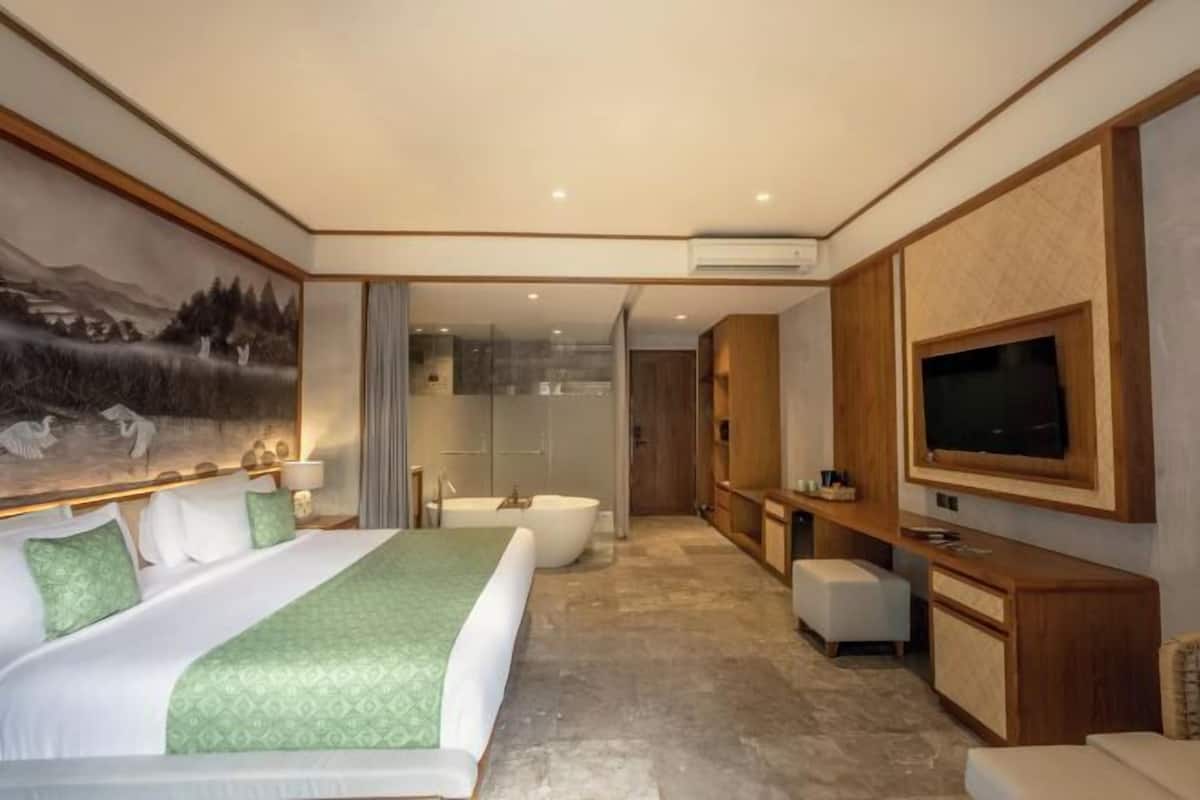 Down comforters, pillowtop beds, free minibar, in-room safe