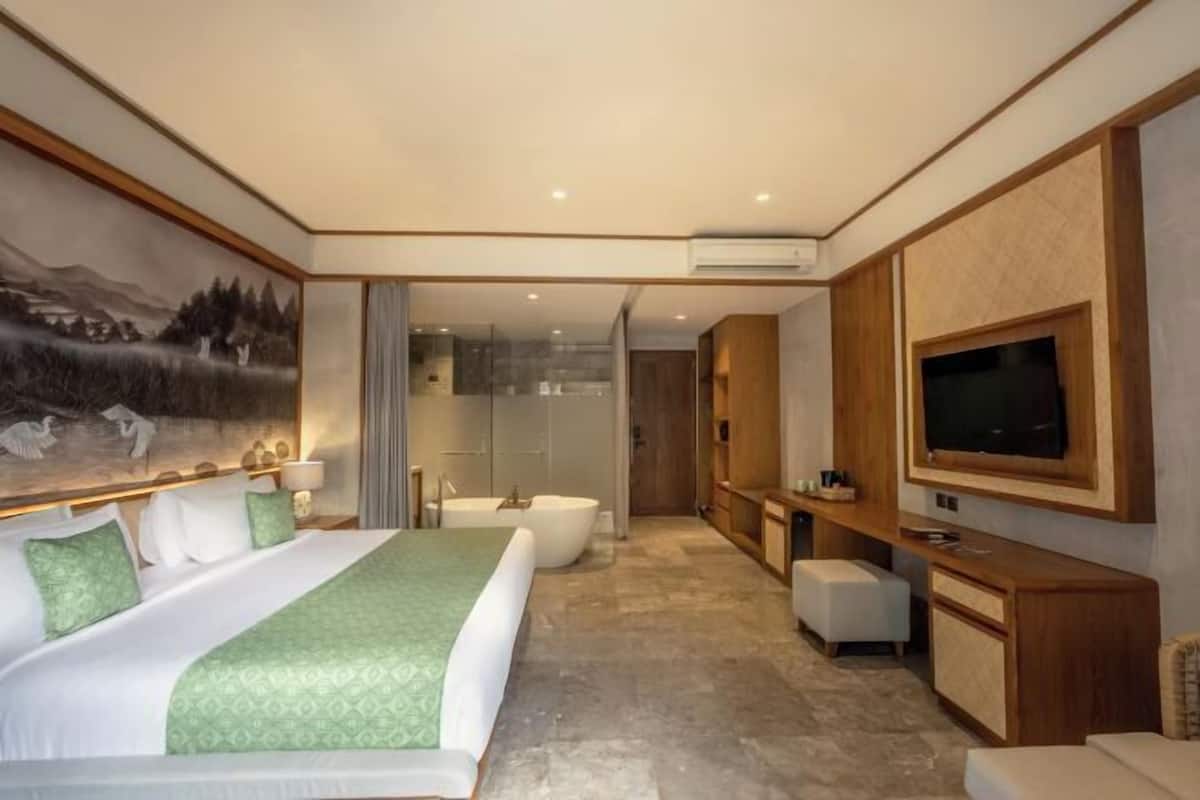 Down comforters, pillowtop beds, free minibar, in-room safe