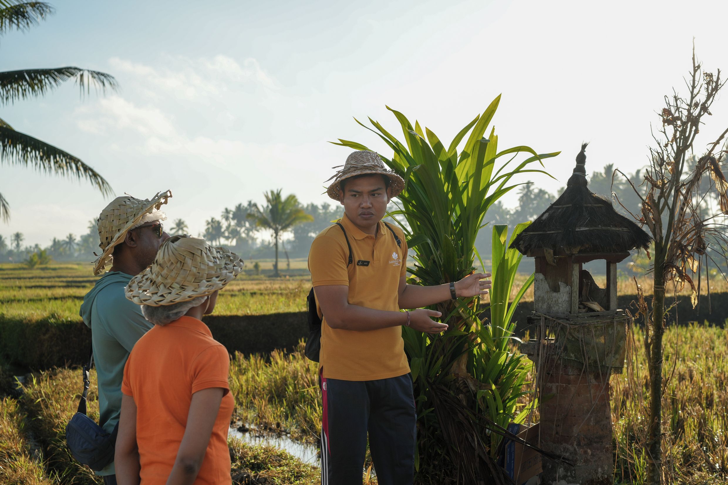 A person in a yellow shirt and straw hat standing in a field with a water feature and a traditional structure.