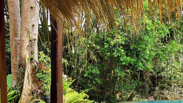A table with cooking utensils and fresh produce, a stone wall, and a pool in the background. - AnandaDara Ubud Resort & Spa (Ubud)