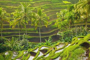 Point of interest - AnandaDara Ubud Resort & Spa (Ubud)