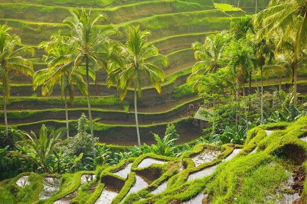 Objek wisata