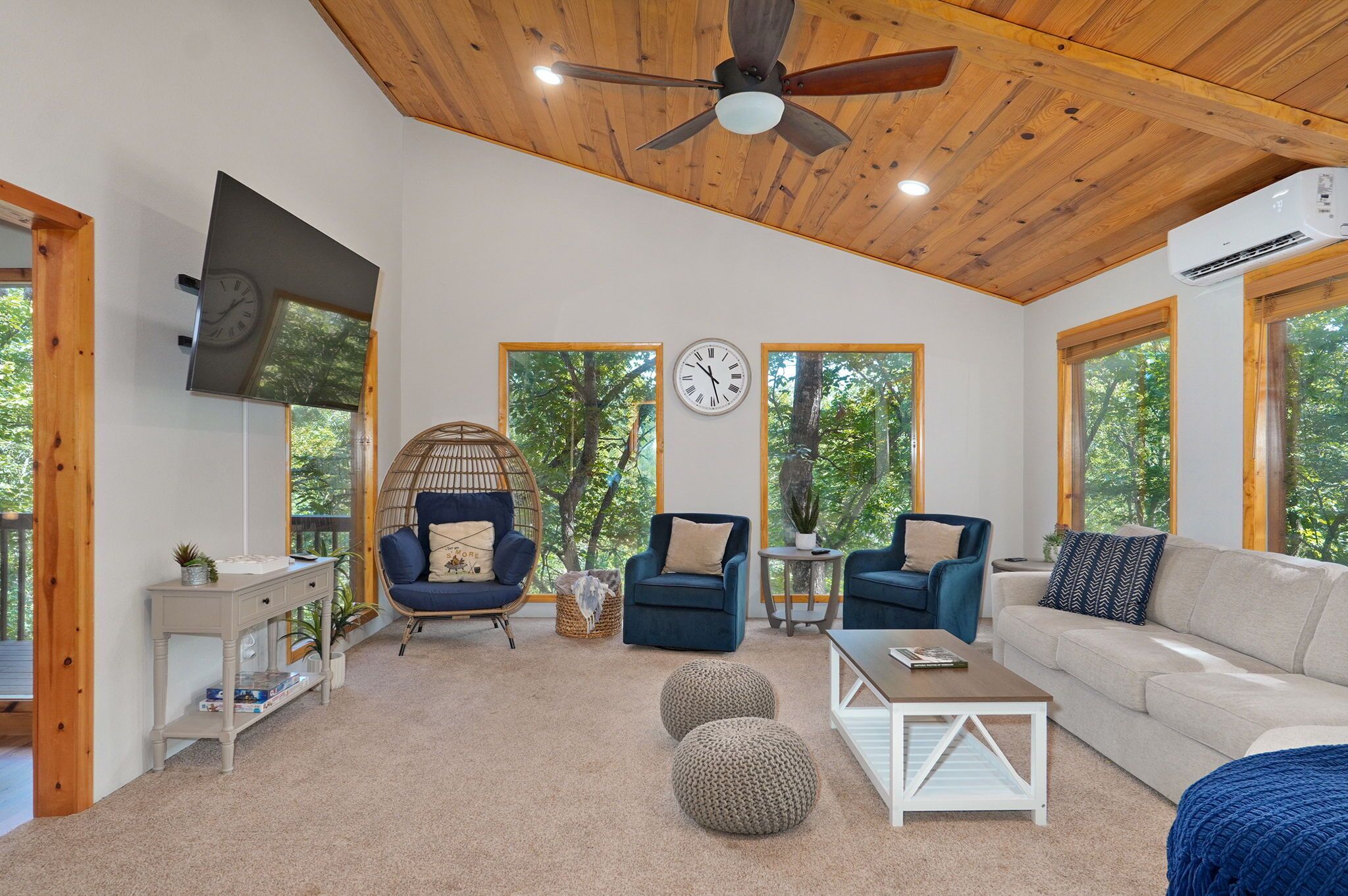 Älytelevisio, kirjoja