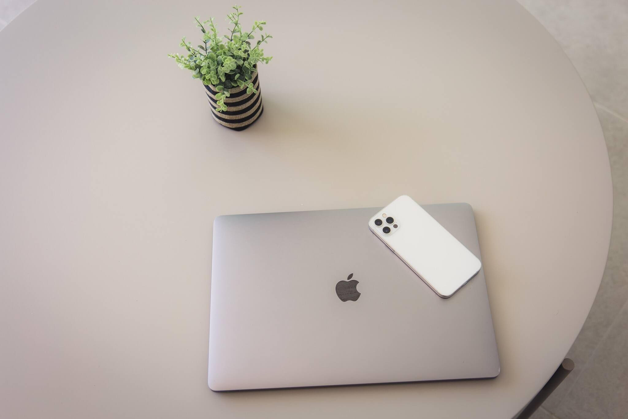 Ein Laptop mit weißem Gehäuse und eine Pflanze in einem gestreiften Topf auf einem runden Tisch.