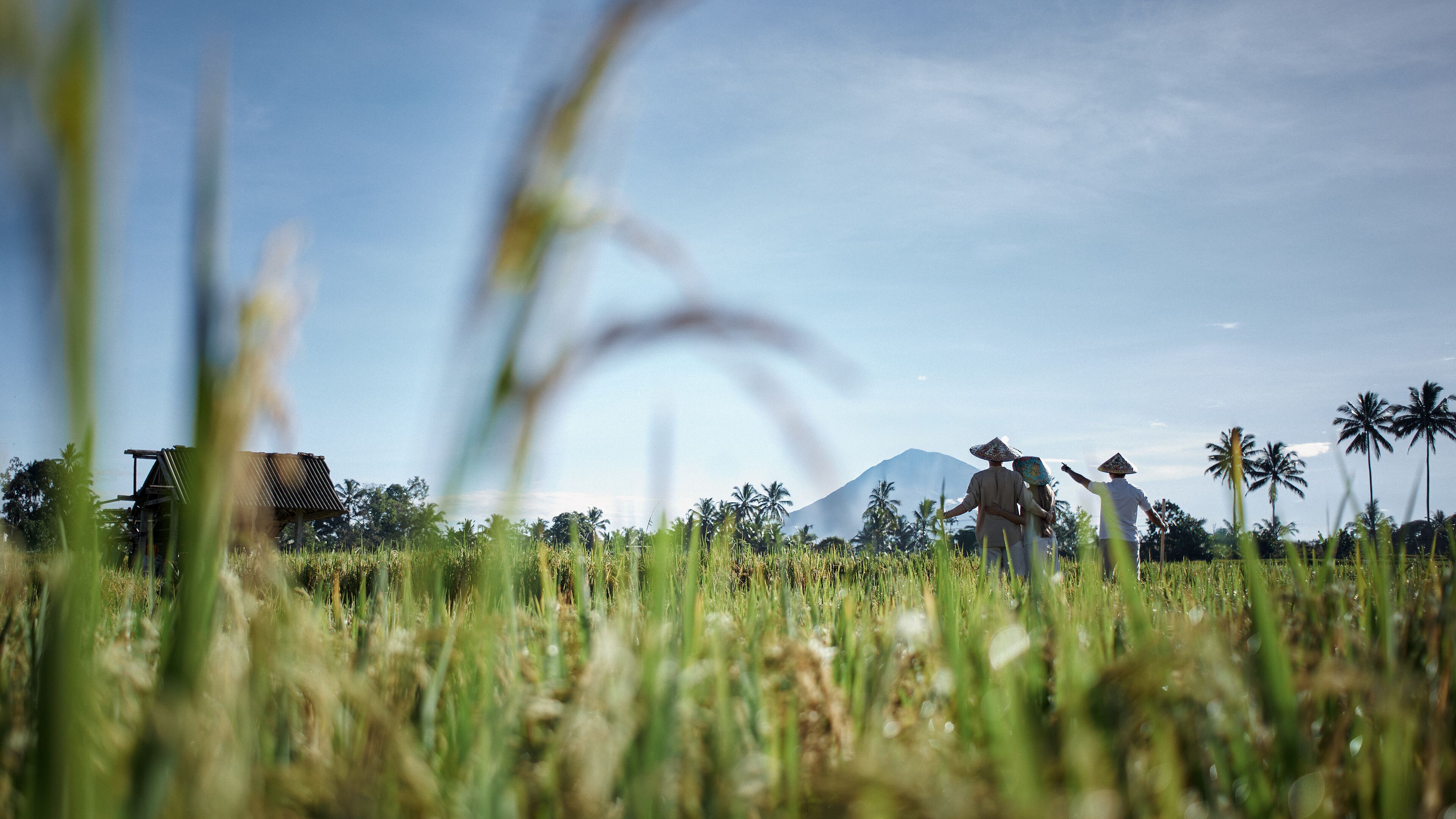 A rural landscape with a mountain in the background, a wooden structure, and people in traditional hats.