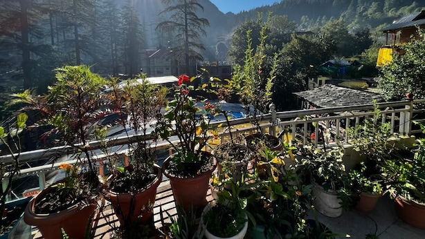 Un balcón con plantas en macetas, vista a una montaña y un edificio al fondo.