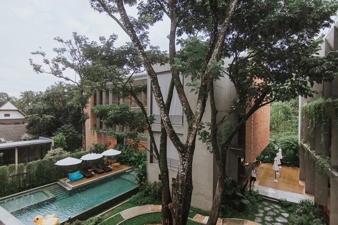 Un patio con piscina, sillas de descanso y sombrillas.