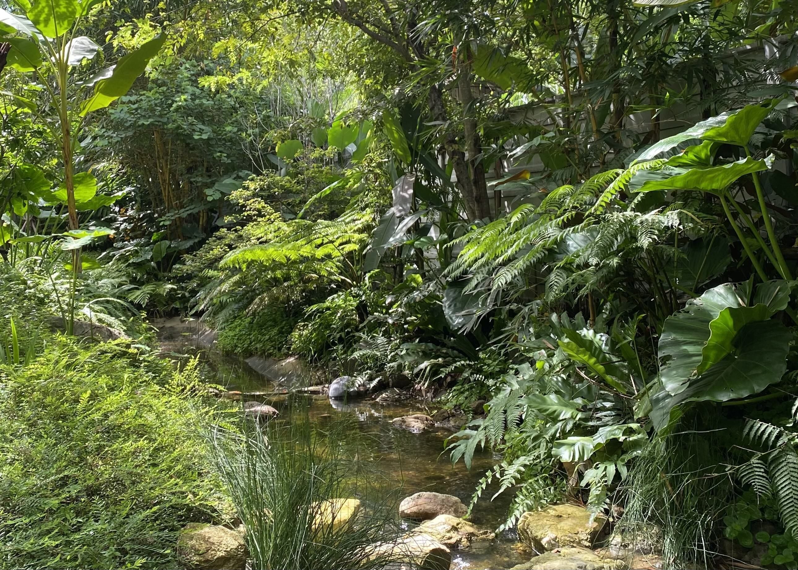Foto - Proud Phu Fah Muang Chiang Mai
