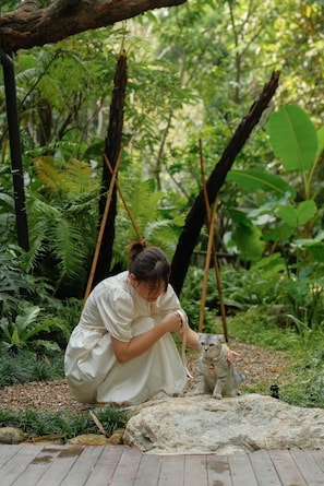 Animaux de compagnie acceptés