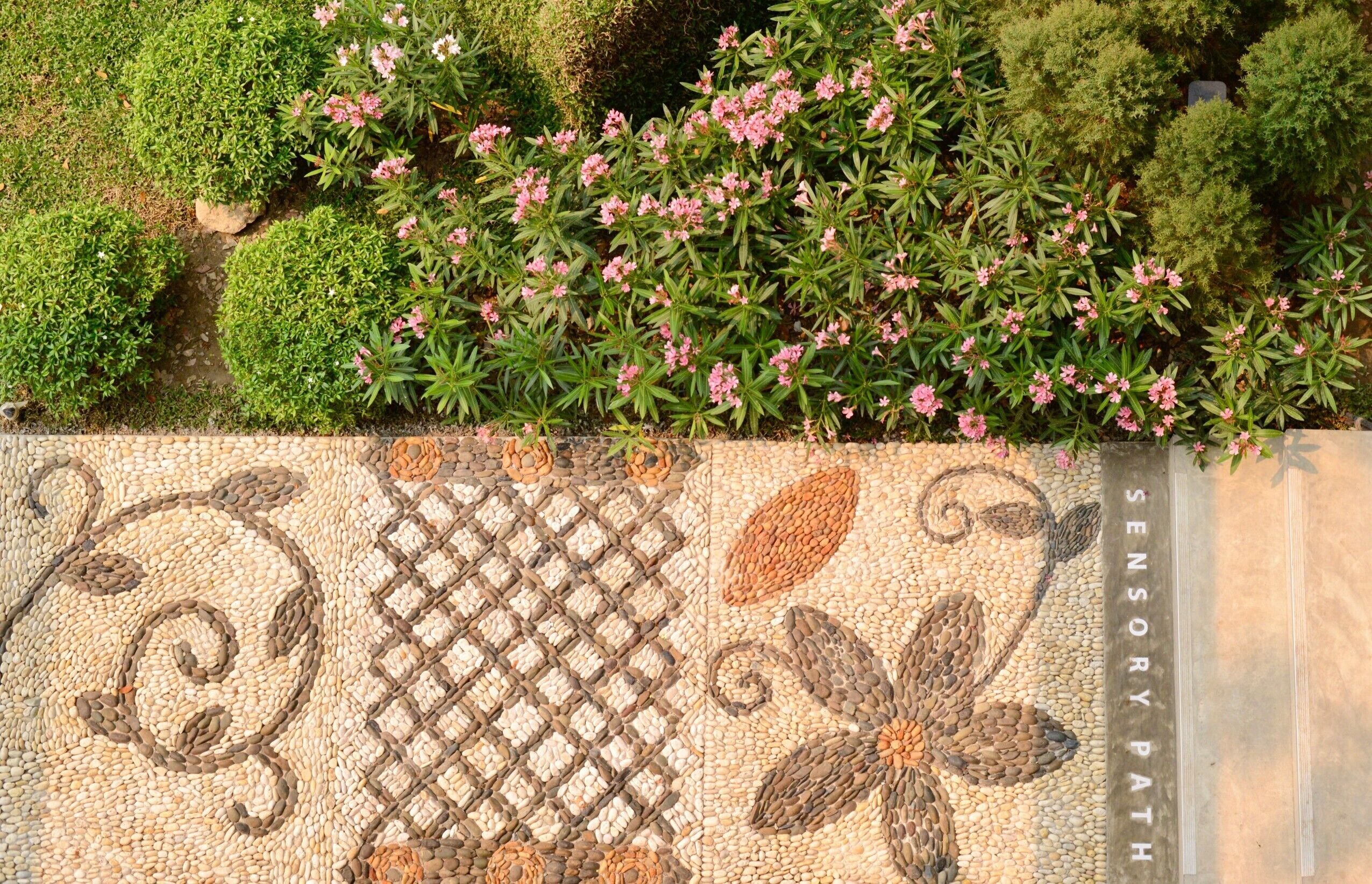 Foto - Proud Phu Fah Muang Chiang Mai