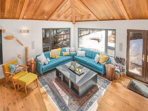 TV, fireplace, video games