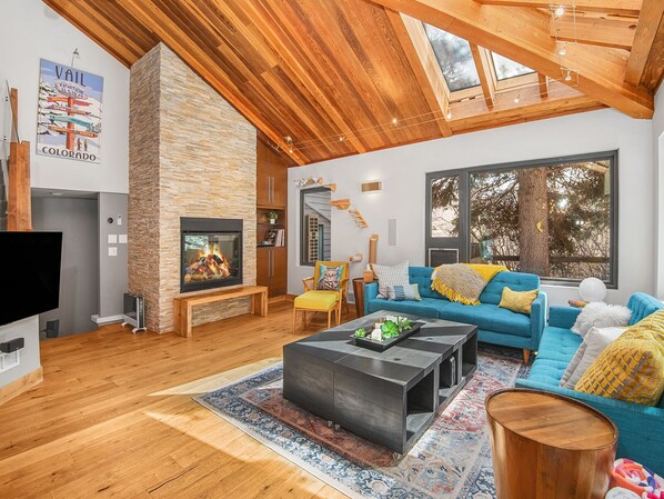 TV, fireplace, video games