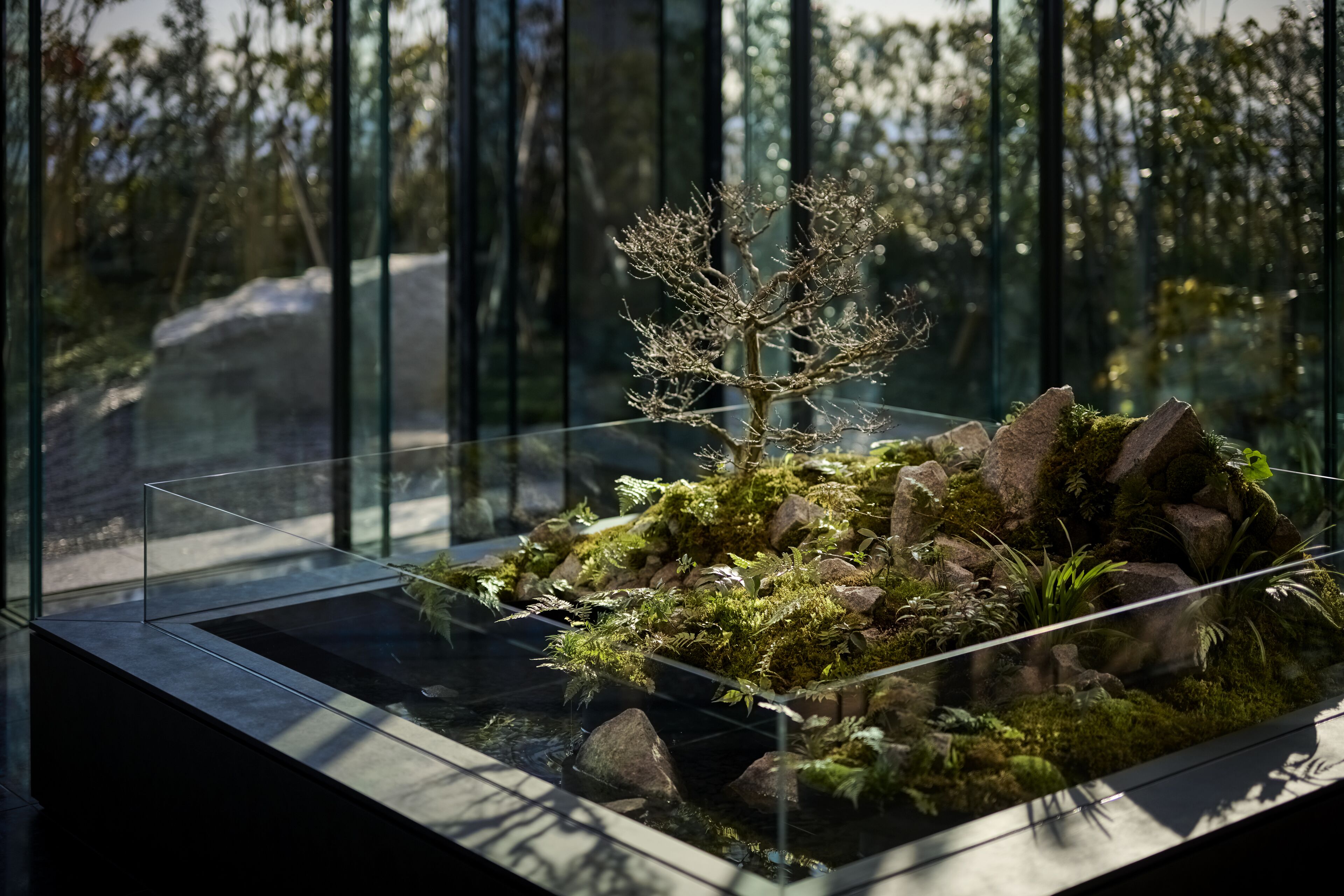 A glass terrarium with a miniature tree, rocks, and moss.