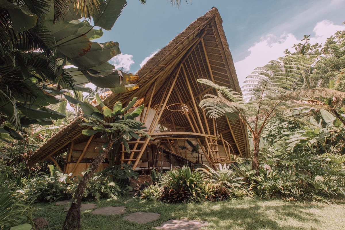 Une structure en bambou entourée d’une végétation tropicale luxuriante.