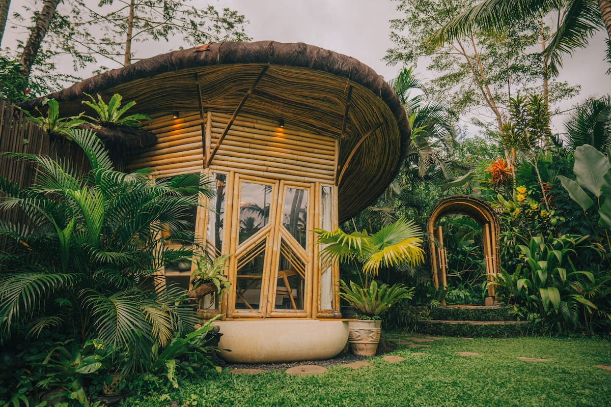 Une hutte en bambou, coiffée d’un toit de chaume, entourée d’une végétation tropicale luxuriante.