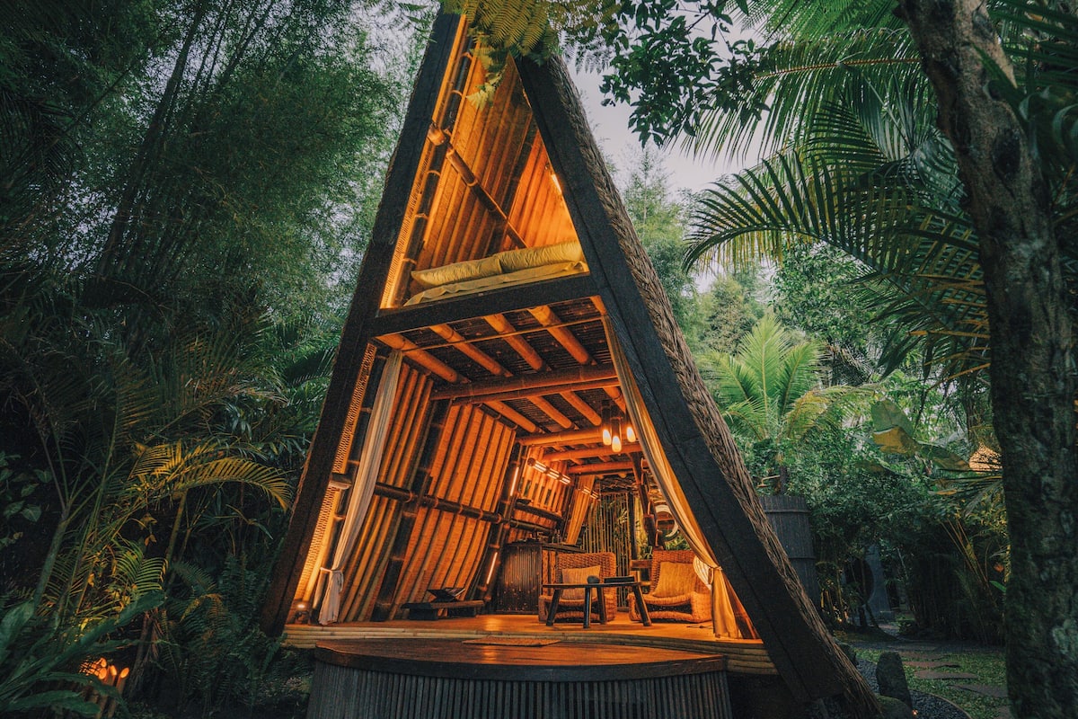 Une cabane perchée dans un arbre, avec un intérieur en bois, entourée d’un feuillage dense.