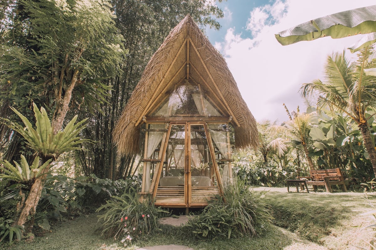 Une construction à toit de chaume, dotée d’une structure vitrée, entourée d’une végétation tropicale luxuriante.