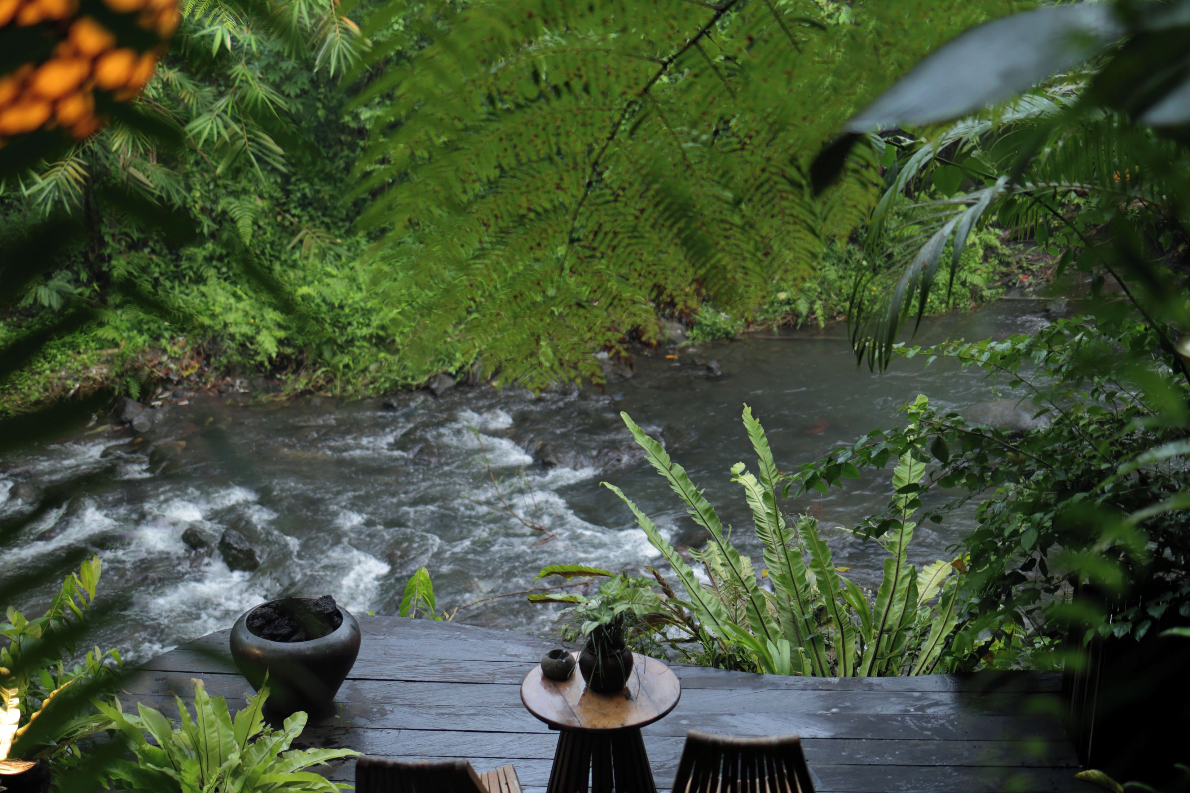A wooden table with a potted plant and a decorative item, overlooking a flowing river and lush greenery.