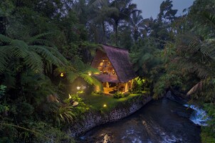 Casa con techo de paja rodeada de densa vegetación tropical y un arroyo.